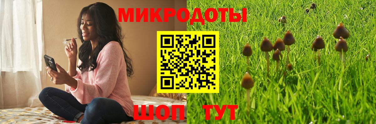 Псилоцибиновые грибы Psilocybe  Вход с VPN  Севастополь  Галлюциногенные грибы GOLDEN TEACHER 